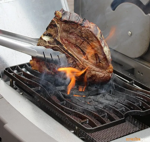 sizzle zona Napoleon prestige
